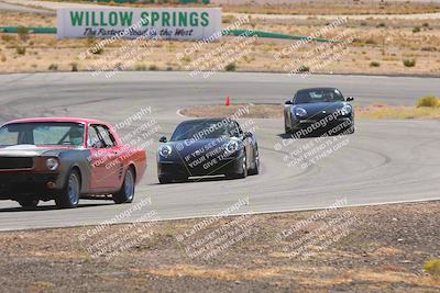 media/Oct-25-2025-West Coast Racing (Sat) [[9fdcbcd09c]]/Novice group/Turn 3/